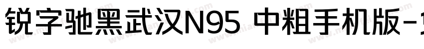 锐字驰黑武汉N95 中粗手机版字体转换